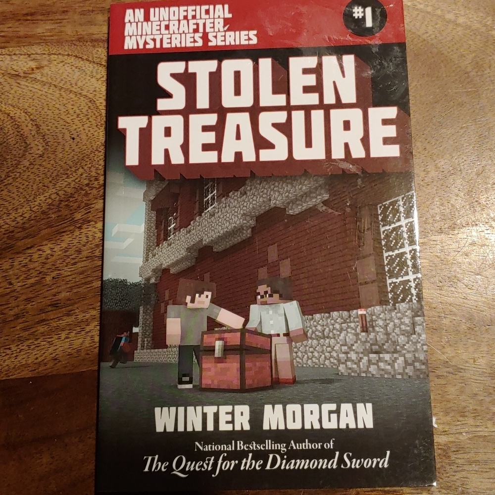 NEW Mindcraft Stolen Treasure #1 in the Series By Winter Morgan